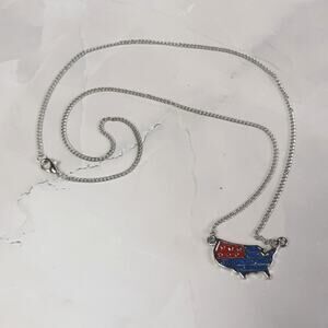 Sparkly Enameled United States Pendant Necklace
